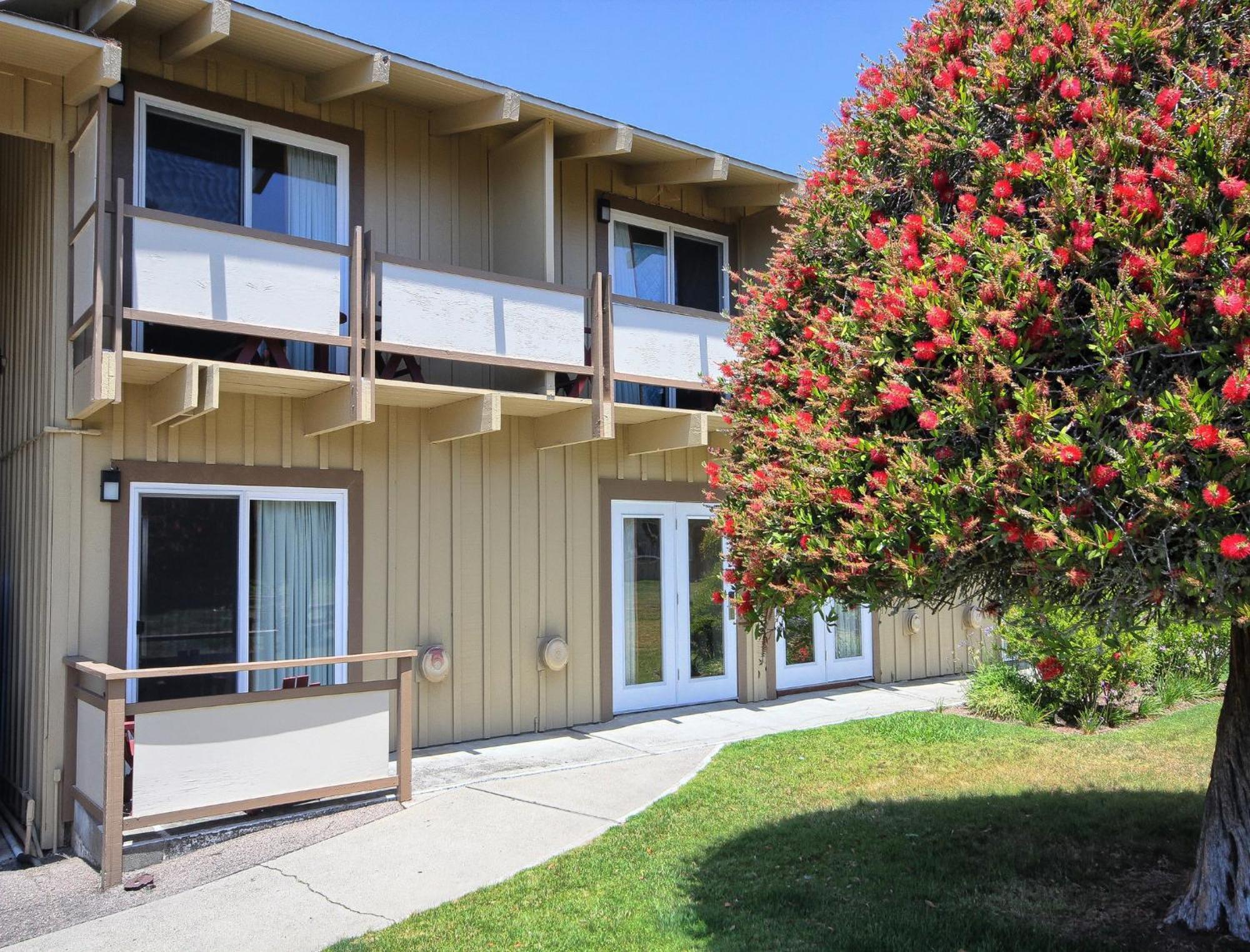 Silver Surf Motel San Simeon Exterior foto